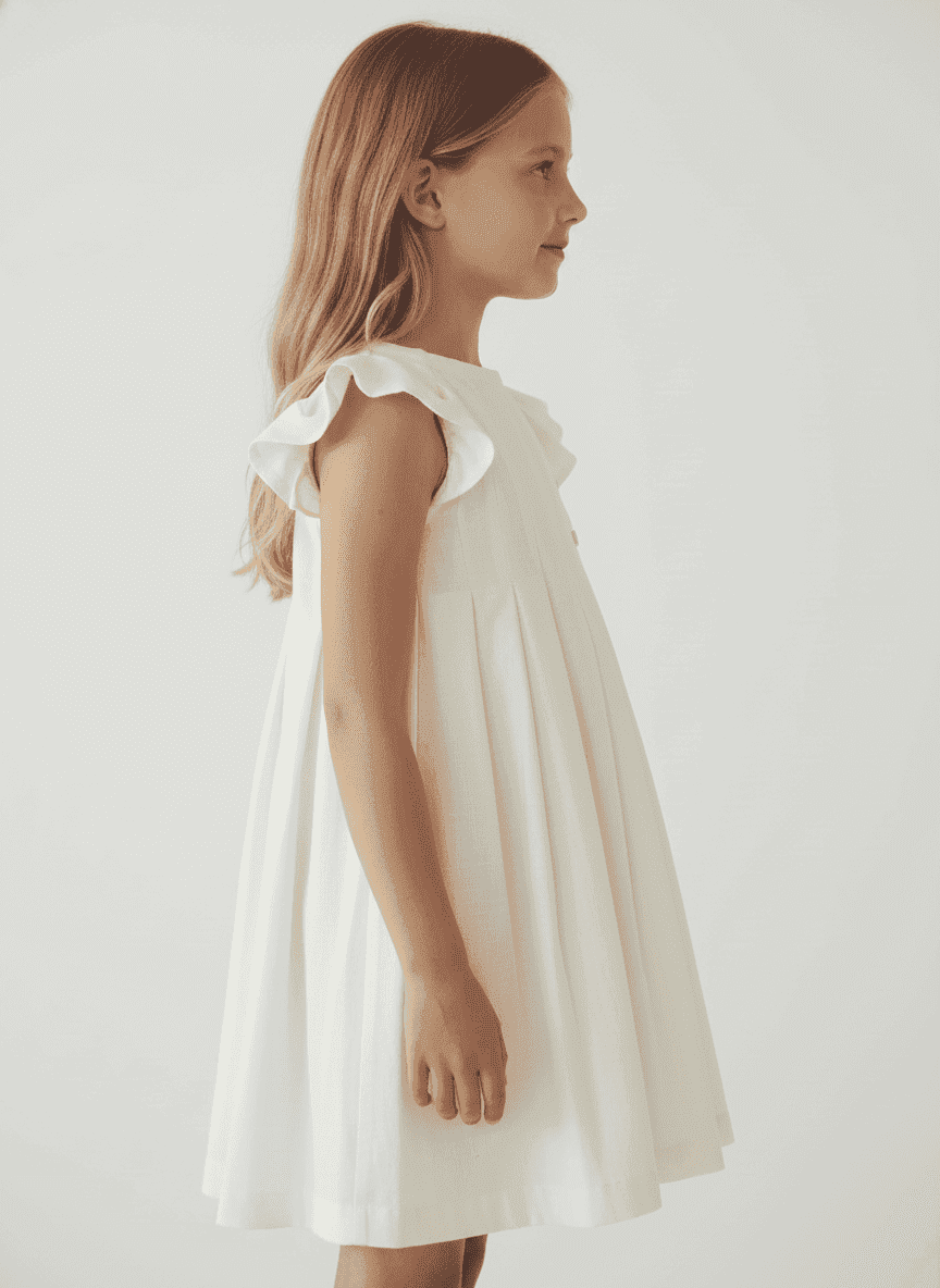 Shoulder Ruffled & Pleated Dress